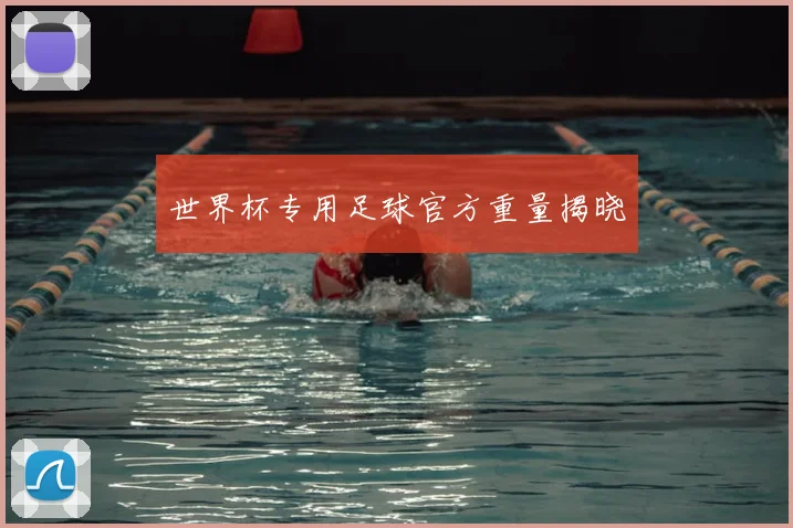 世界杯专用足球官方重量揭晓